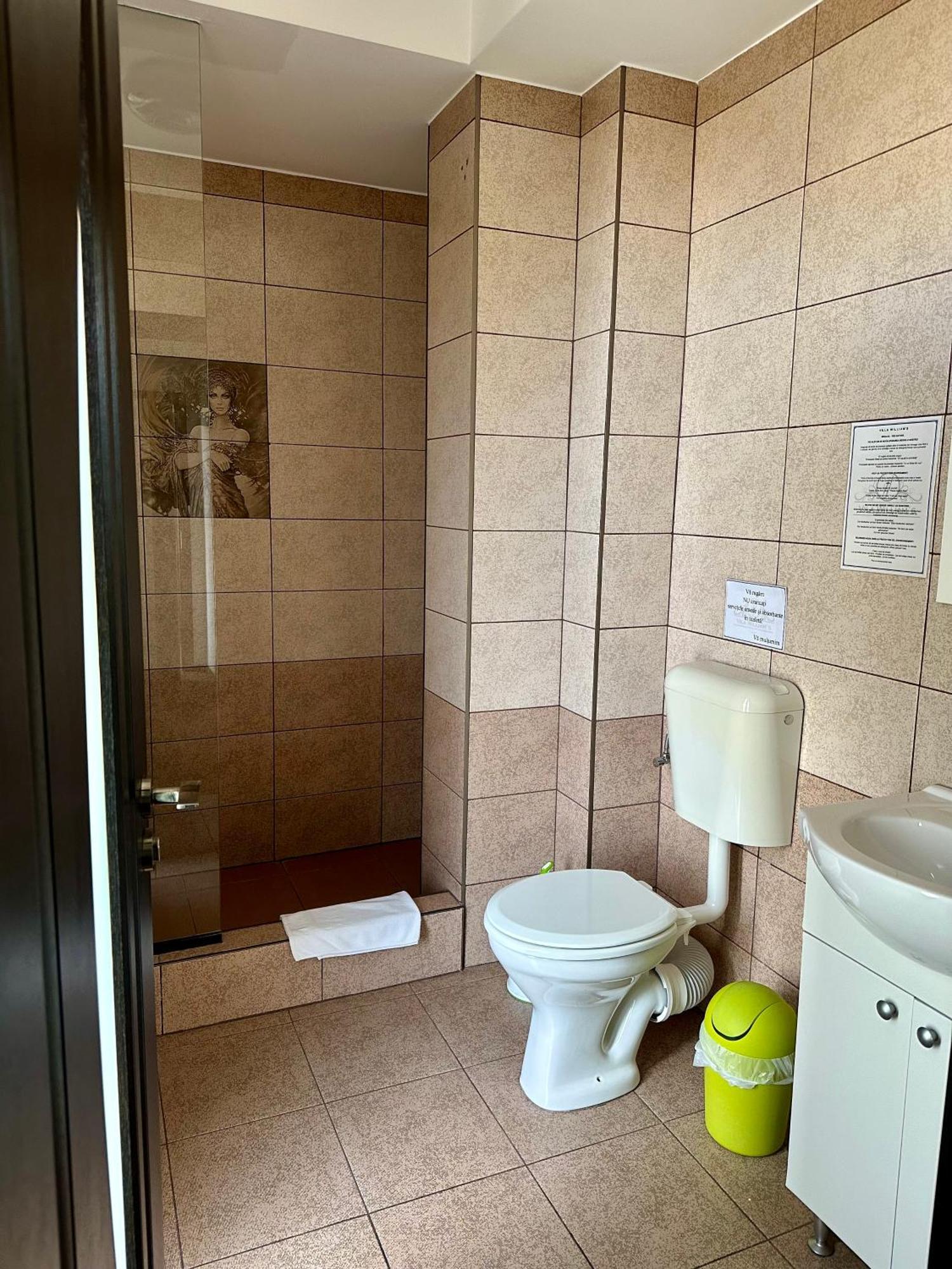 Vila William'S Braşov Extérieur photo