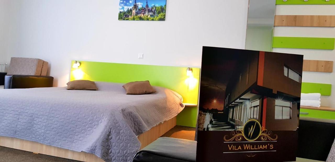 Vila William'S Braşov Extérieur photo